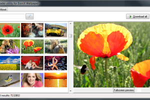 Flickr Mass Downloader screenshot