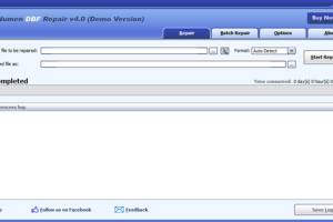 DataNumen DBF Repair screenshot