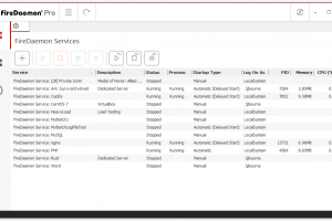 FireDaemon Pro screenshot