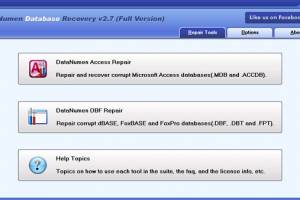 DataNumen Database Recovery screenshot