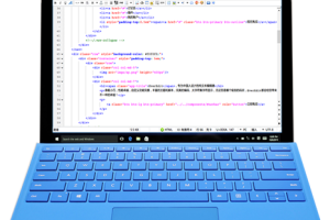EverEdit Portable screenshot