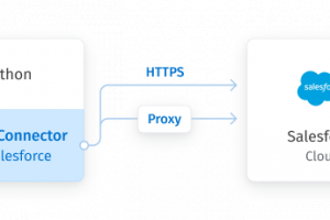 Salesforce Python Connector by Devart screenshot