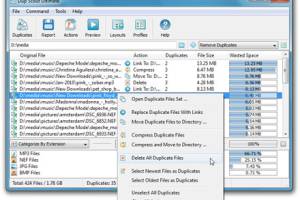 DupScout Ultimate screenshot