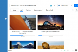 VDownloader screenshot