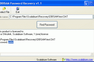 DBISAM Password Recovery screenshot
