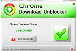 Chrome Download Unblocker screenshot