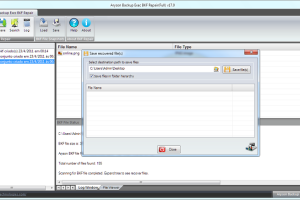 Backup Exec BKF Recovery screenshot
