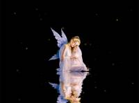 Fairy Animated Wallpaper screenshot