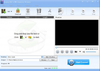 Lionsea FLV To MP4 Converter Ultimate screenshot