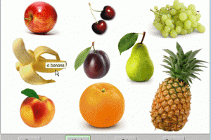 Junior World of Words screenshot