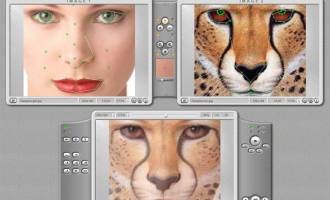 Abrosoft FantaMorph Pro screenshot