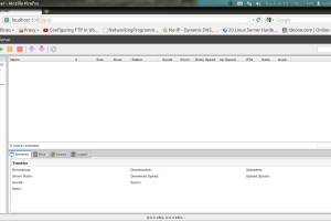 uTorrent for Linux screenshot