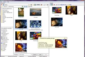 Secondary Viewer Photo Viewer screenshot