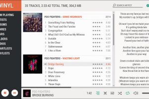Winyl Portable screenshot