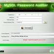 Mysql Password Auditor 4.0 full screenshot