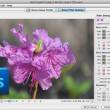 Neat Image plug-in for Photoshop 9.2.3 full screenshot
