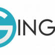 Ginger for Chrome 2.15.244 full screenshot