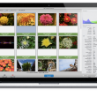IMT Image Converter 3.11 full screenshot