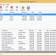 Internet Traffic Agent 2.9 full screenshot