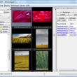 JPhotoTagger Portable 1.1.7 full screenshot