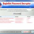 EagleGet Password Decryptor 2.0 full screenshot
