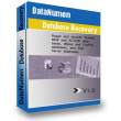 DataNumen Data Recovery 4.0.0.0 full screenshot