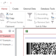 PDF417 Font and Encoder Suite 2023 full screenshot