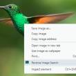 Reverse Image Search for Firefox 4.3.1 full screenshot