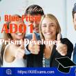 Killexams Blue-Prism AD01 Practice Test 2024 2024 full screenshot