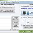 Bulk SMS BlackBerry 9.2.1.0 full screenshot