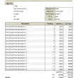 Consulting Invoice Template 5.51 full screenshot