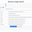 Reverse Image Search for Chrome 4.4.0 full screenshot