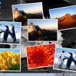 Wallpaper Slideshow Pro 5.4.0 Build 1539 full screenshot