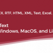 PDF Focus .Net 2025.5.6 full screenshot