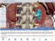 Human Anatomy Atlas for Mac OS X 7.3.20 full screenshot