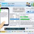 Bulk SMS Service Processing Tool 6.1.3.4 full screenshot