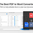 PDF to Word Pro Edition 1.0 full screenshot
