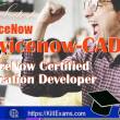 Killexams ServiceNow Servicenow-CAD Practice Test 2024 2024 full screenshot