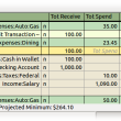 GnuCash for Mac OS X 5.5 full screenshot