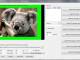 VISCOM Power Point Viewer Pro SDK 1.18 full screenshot