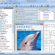 SQL Maestro for MySQL 17.5 full screenshot