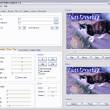 Altarsoft Video Capture 1.21 full screenshot