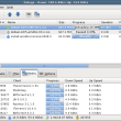 Deluge for Linux 2.1.1 full screenshot