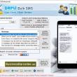 Bulk SMS Gateway Service Tool 9.3.2.2 full screenshot