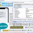 International Bulk Messaging Service 9.4.6.8 full screenshot