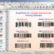 SmartVizor Variable Barcode Batch Printing Software 44.5.250.826 full screenshot