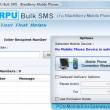 BlackBerry SMS Application 9.0.1.4 full screenshot