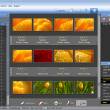 PicaJet 2.6 build 696 full screenshot